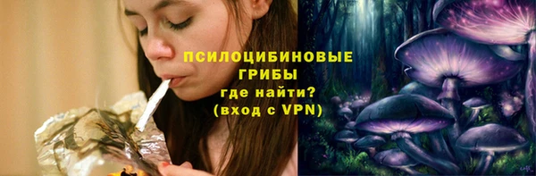 a pvp Новодвинск