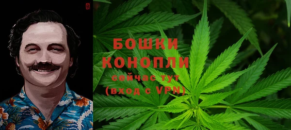 Альфа ПВП Няндома