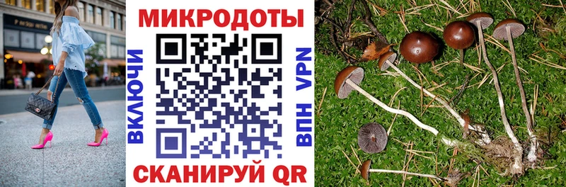 mega как войти  Чаплыгин  Галлюциногенные грибы мухоморы 